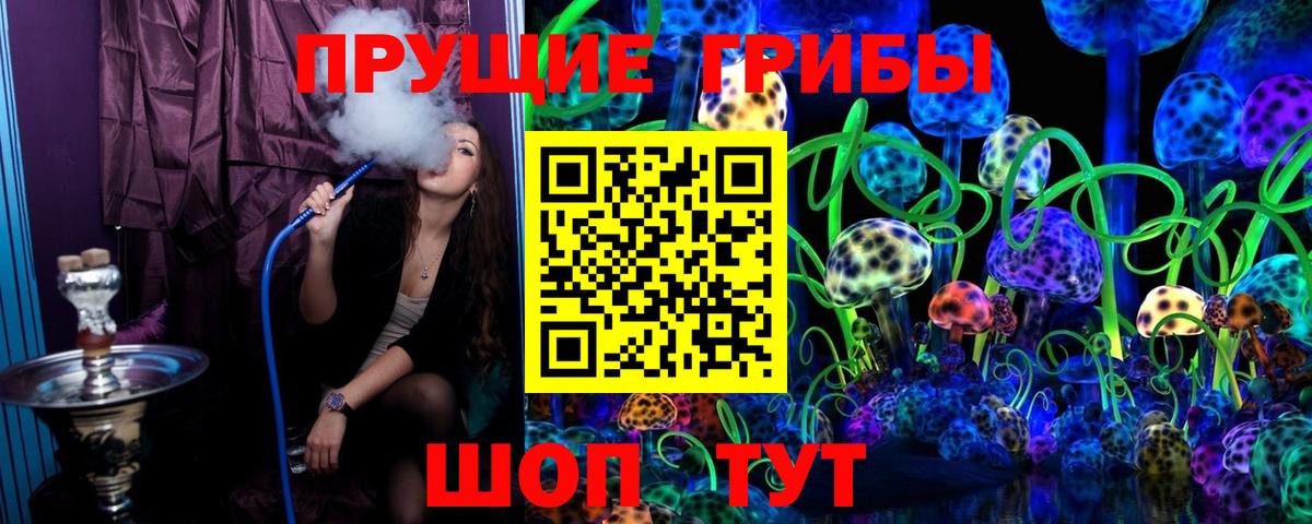 Псилоцибиновые грибы Psilocybine cubensis  Вход с VPN  наркота  Сибай 