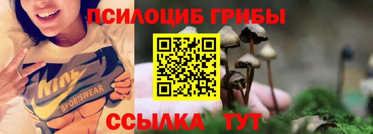 Псилоцибиновые грибы Magic Shrooms Сибай